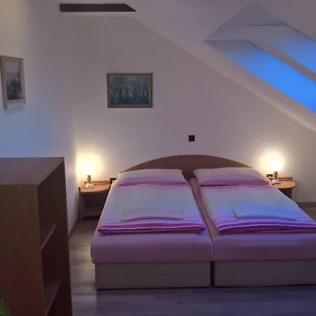 بيت ضيافة Privat Apartma Ulrych 3*