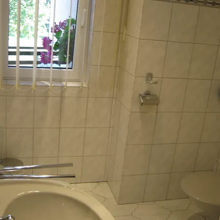 بيت ضيافة Privat Apartma Ulrych 3*
