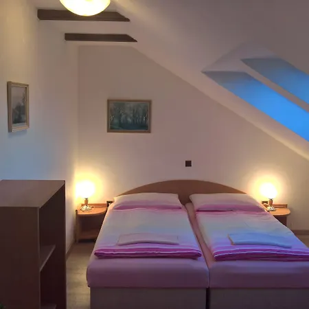 بيت ضيافة Privat Apartma Ulrych 3*