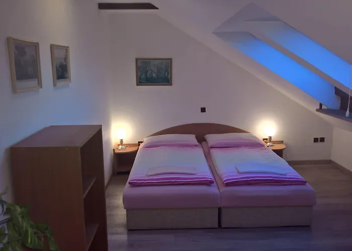 게스트하우스 Privat Apartma Ulrych 3*